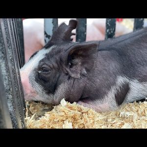 Meet your Posher, Tonya